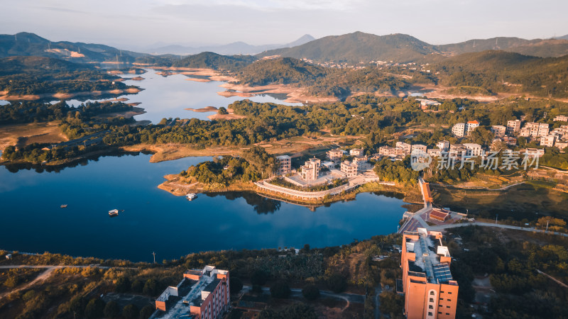 仰恩大学