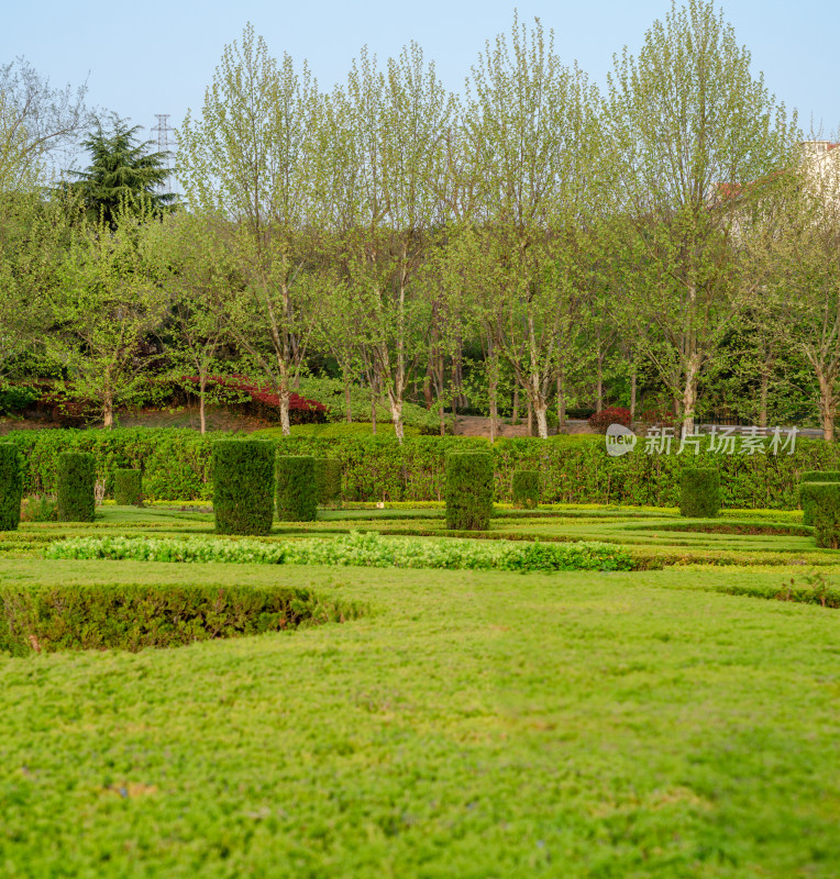 青岛中山公园的夏季