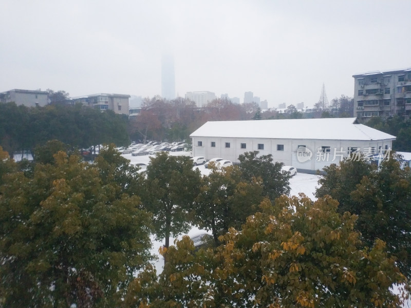 雪中的城市一角与周边树木建筑景象