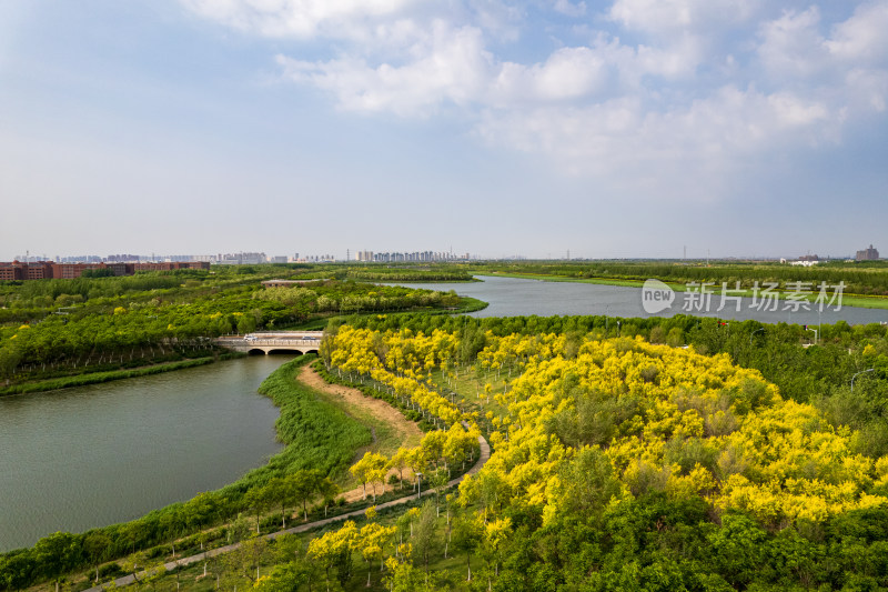 天津海河教育园区湿地公园自然风光航拍