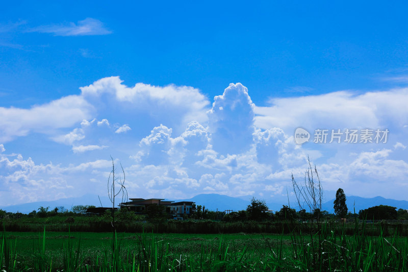 田野蓝天与远处房屋景观