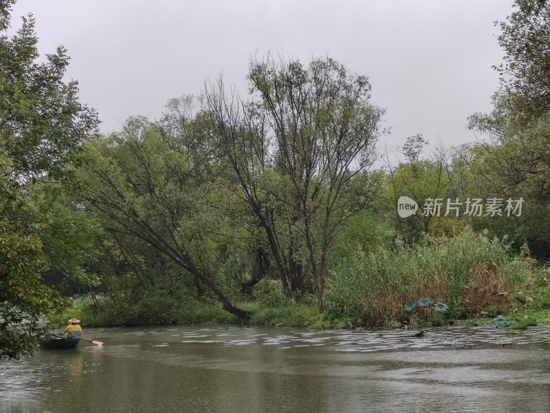 小船在植被茂盛的河道中穿行