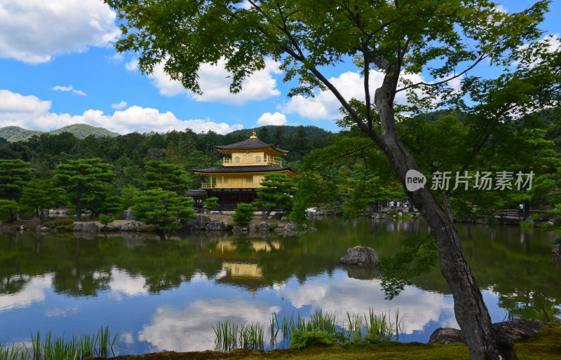 日本金阁寺