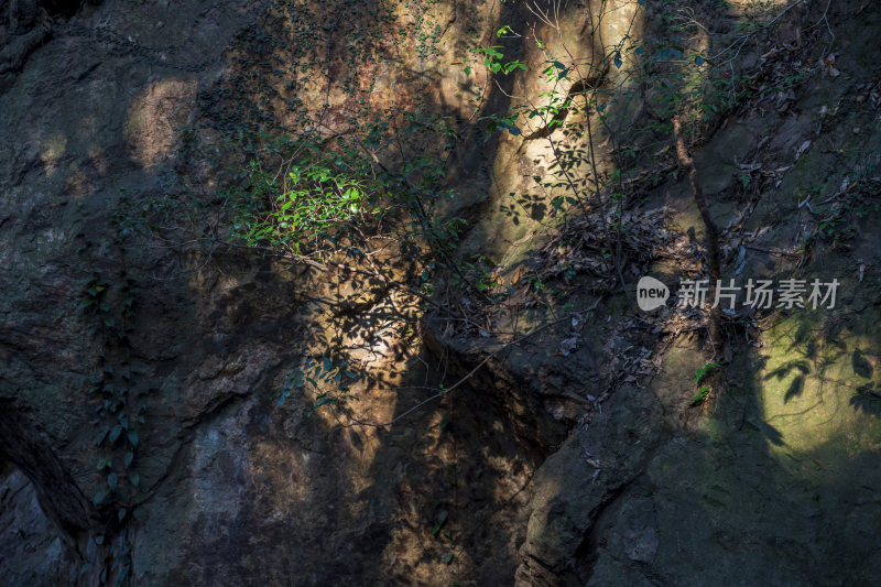 杭州宝石山紫云洞景区