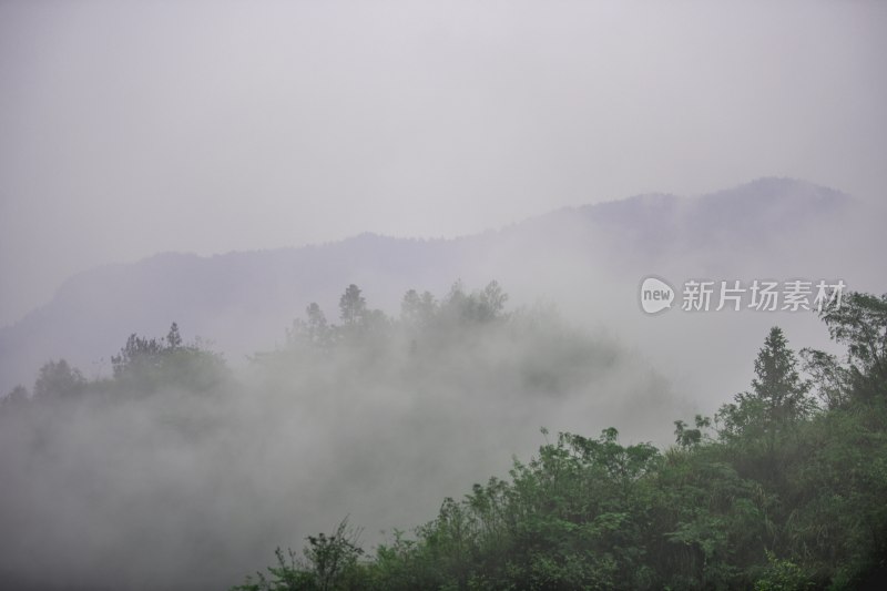 重庆酉阳：暮秋绵雨晨雾浓