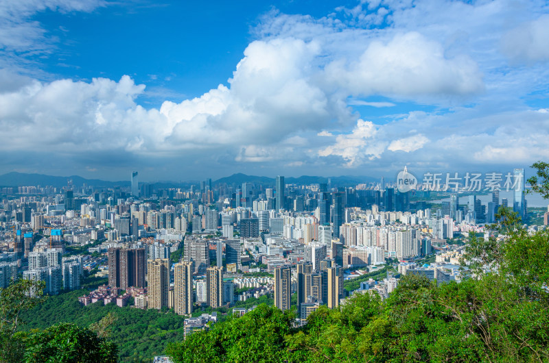 深圳南山公园望城市CBD摩天大楼建筑全景