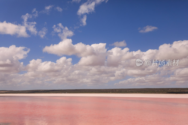 澳大利亚粉红湖