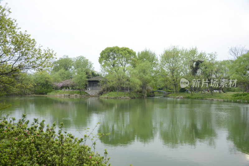 西溪湿地春景