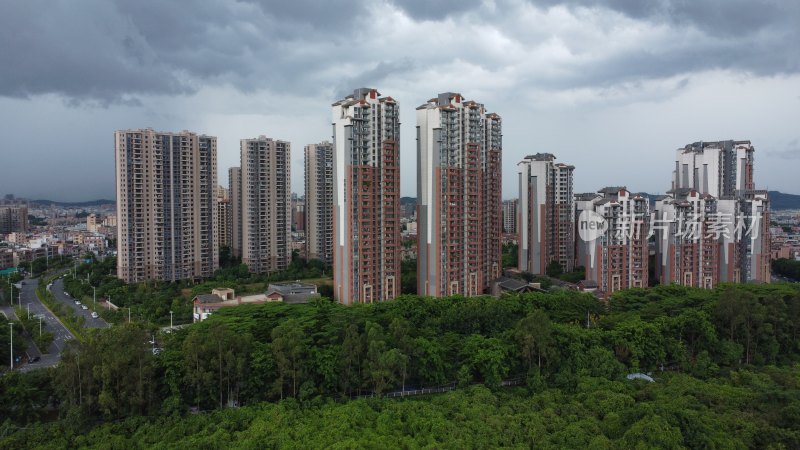 广东东莞：树林对面是住宅小区