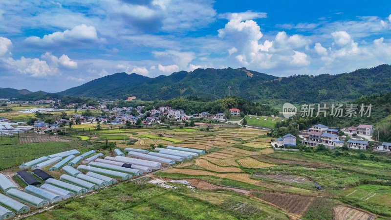 乡村田园大棚农业种植航拍图