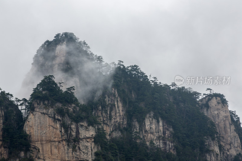 云海中的大明山