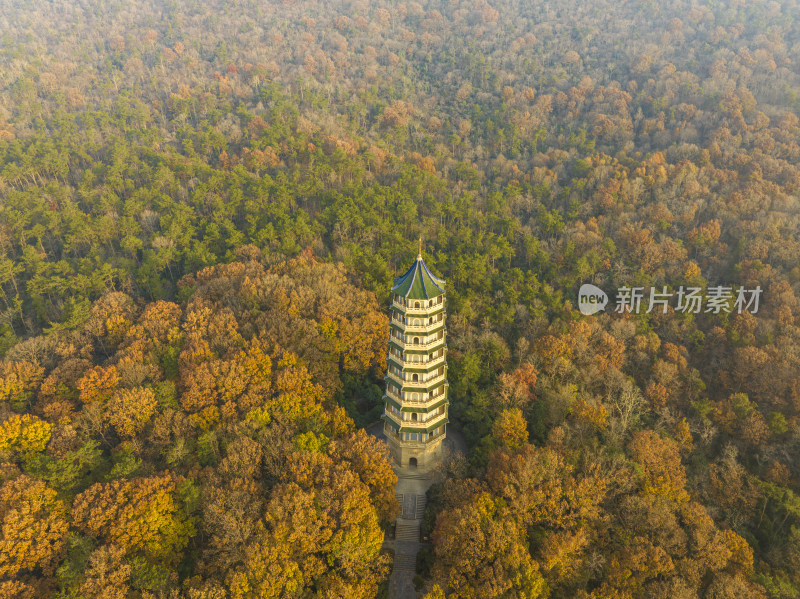 航拍秋季南京中山陵风景区灵谷寺