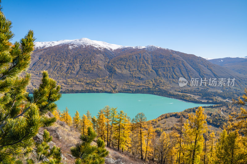 新疆北疆阿勒泰喀纳斯风景区喀纳斯湖