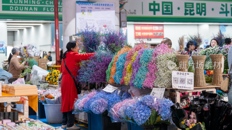 国庆假期云南昆明的斗南花市