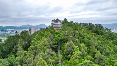 航拍深圳坪山燕子岭公园春晖阁