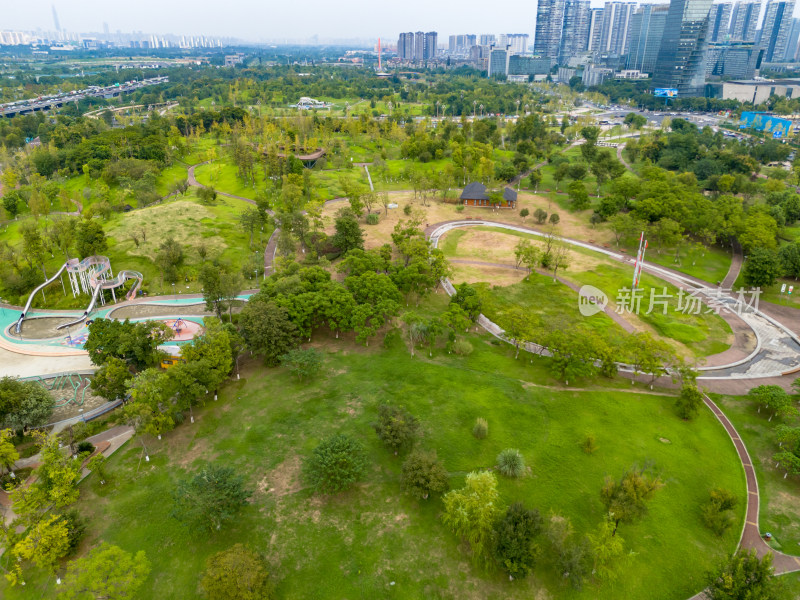 成都城市风光绿化植物航拍图