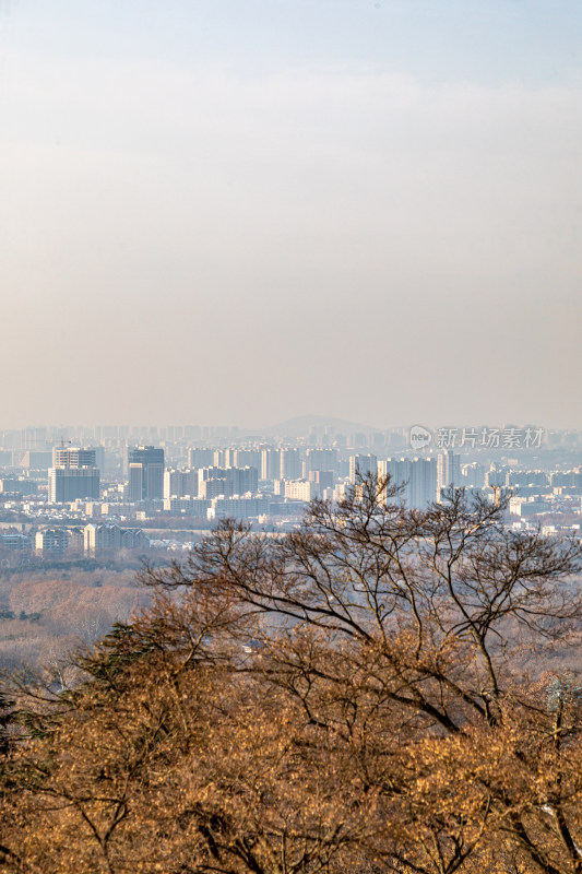 南京钟山风景区中山陵景点景观