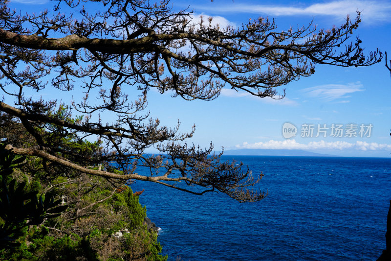 日本静冈县伊东市城崎海岸门胁吊桥一户建