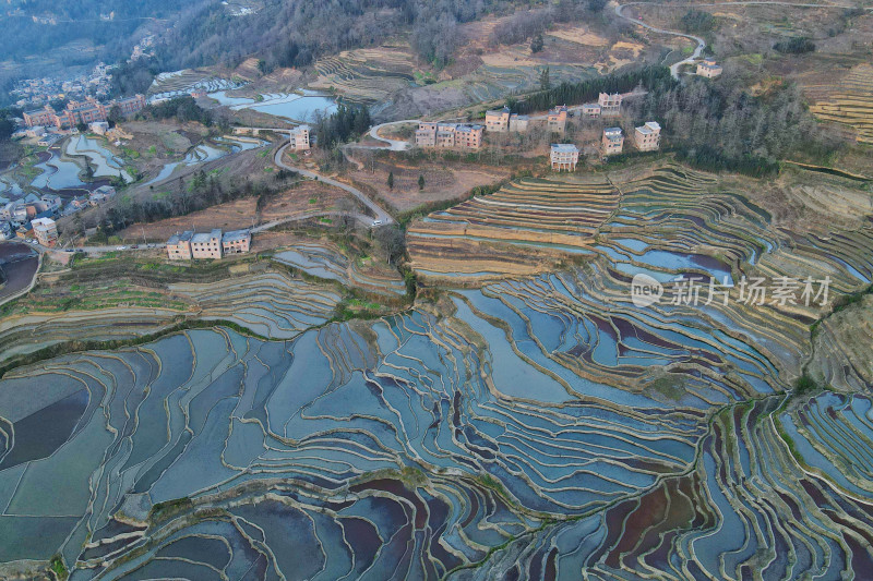 红河元阳梯田，灌水期，爱春蓝梯田