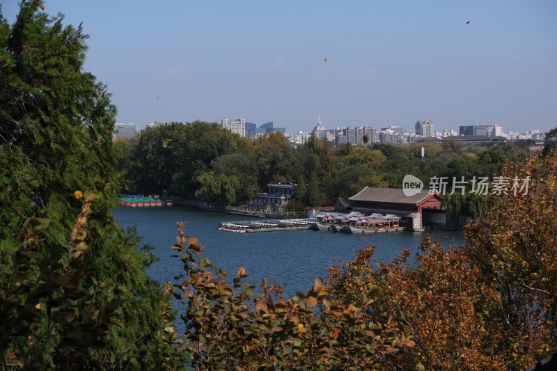 湖边风景与远处城市建筑