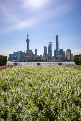 上海外滩外白渡桥陆家嘴黄浦江城市景观