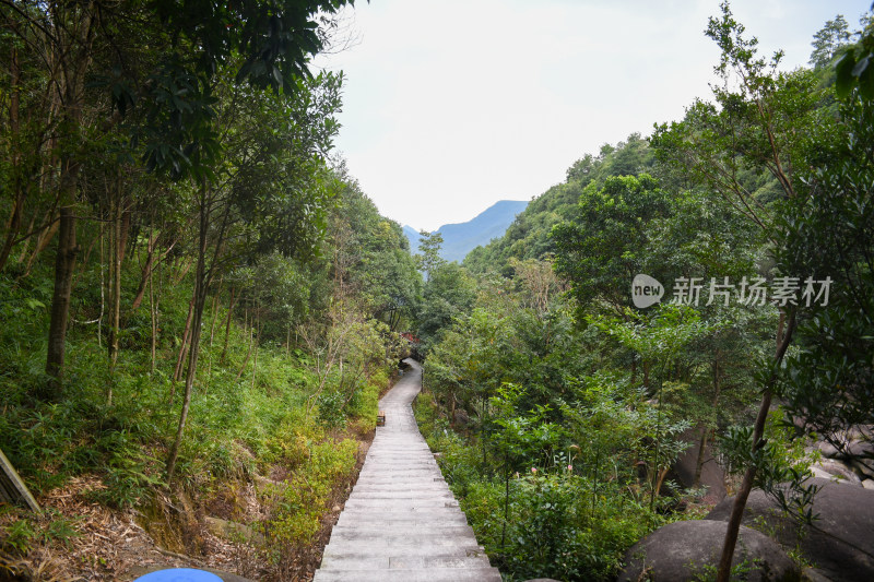 宁德九龙井景区