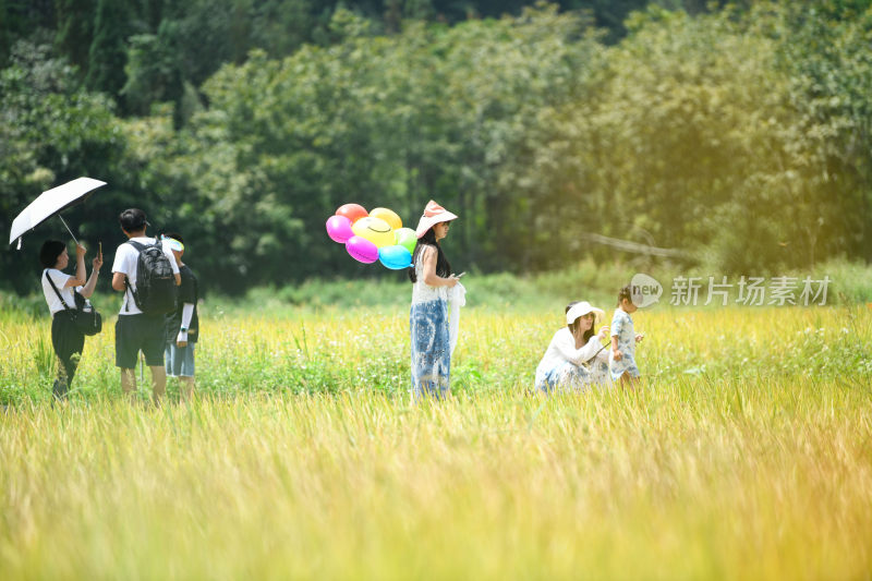 乡村旅游新农村幸福生活乡村振兴