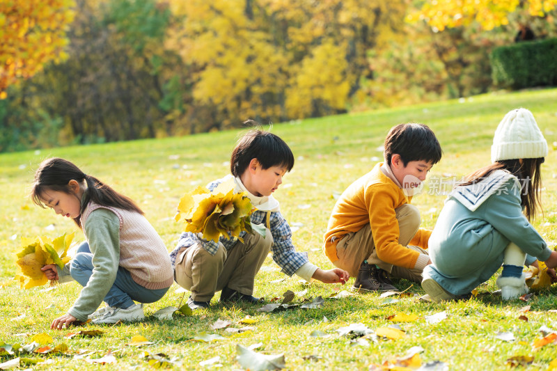 快乐的小朋友们在公园里玩树叶