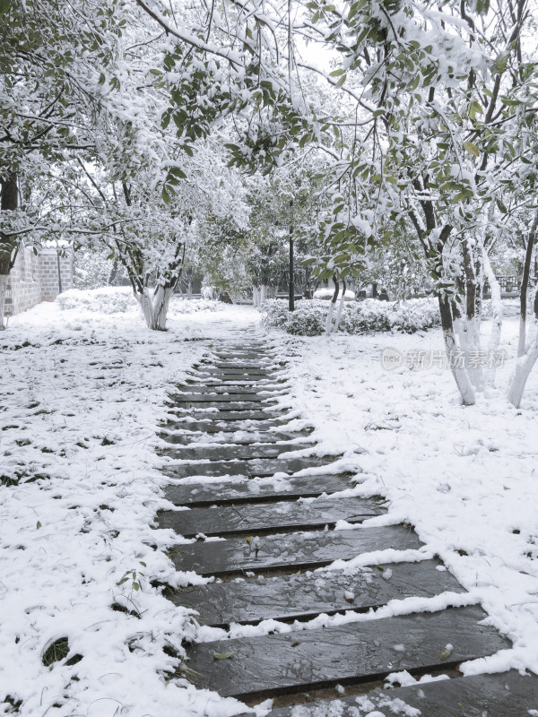 雪后林间小路雪景