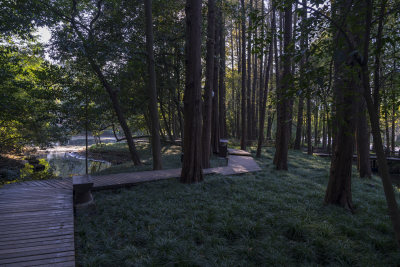 杭州西湖太子湾公园风景