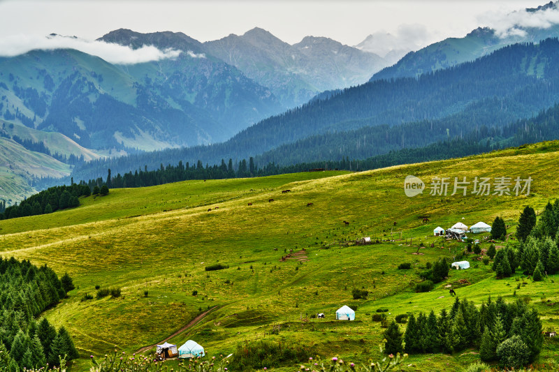 新疆恰西草原景区