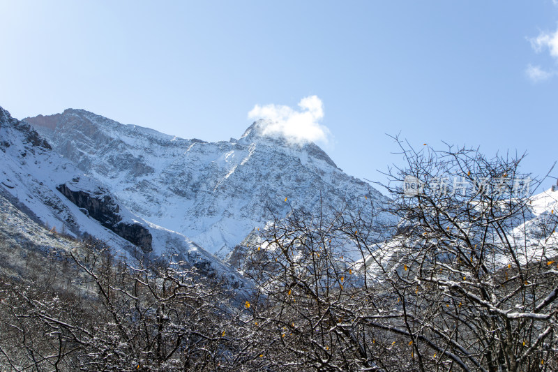 四川阿坝州黄龙景区冬日雪山胜景