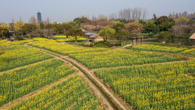 江南水乡春季古镇风光素材