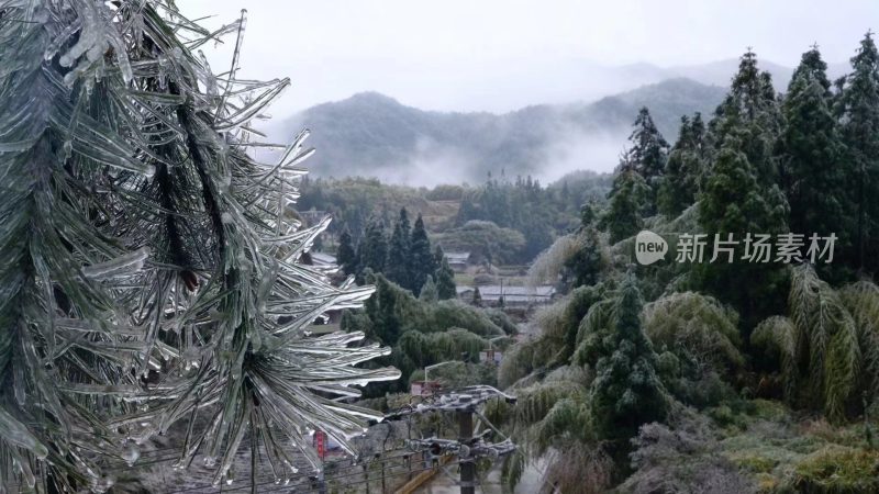 福建泉州德化九仙山景区雾凇