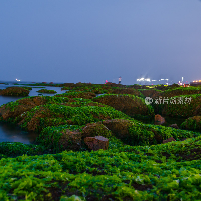 夜色下的绿色岩石海岸