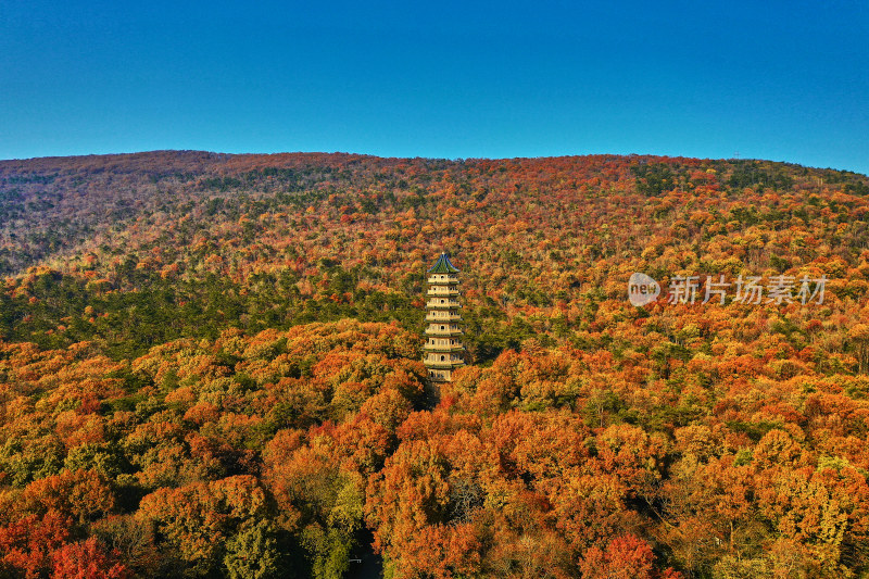 秋天的灵谷景区