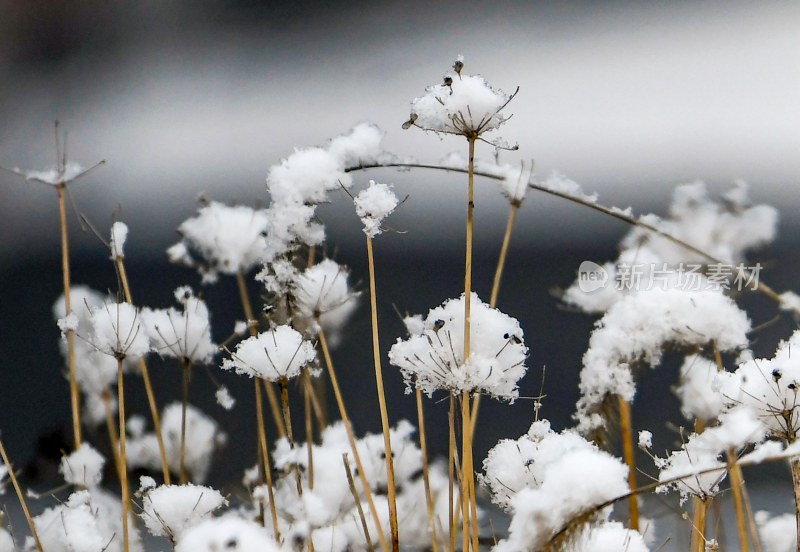 重庆酉阳：瑞雪再次光临酉阳