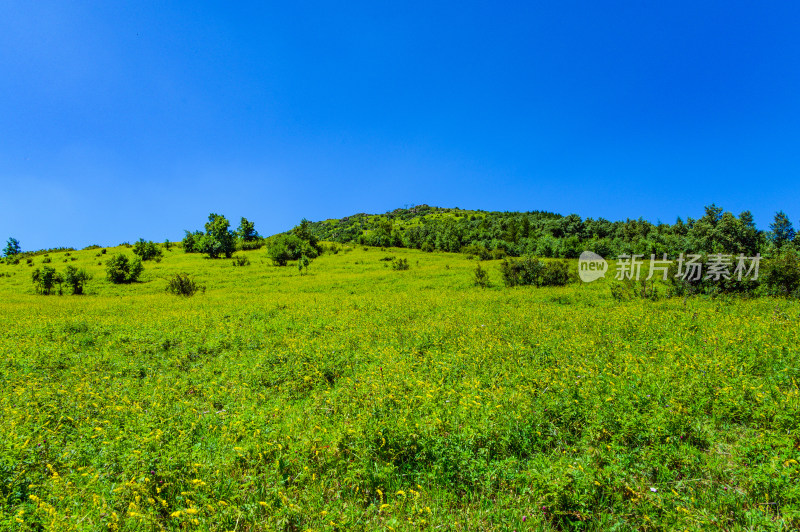 夏季蓝天白云绿色高山草甸群山大气风光