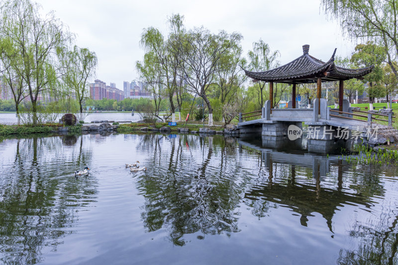 武汉硚口区园博园风景