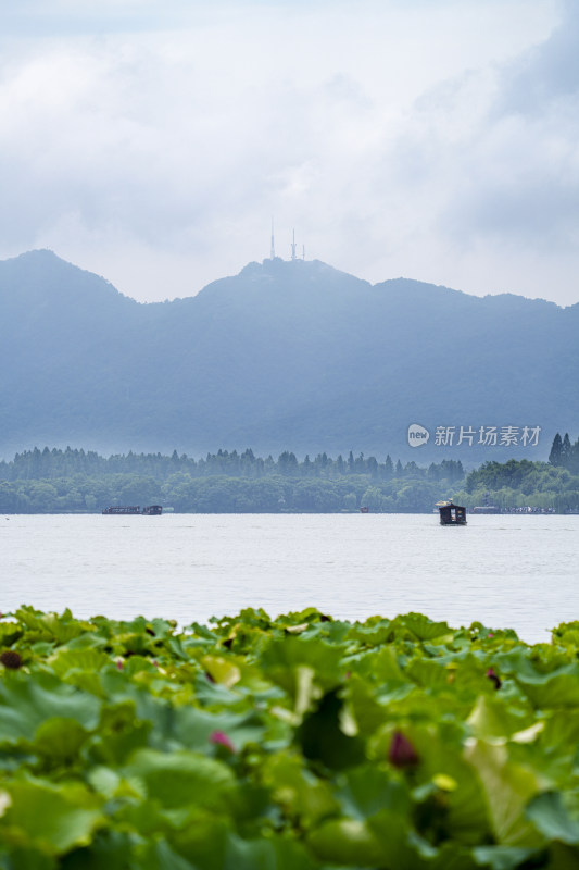 烟雨朦胧的杭州西湖