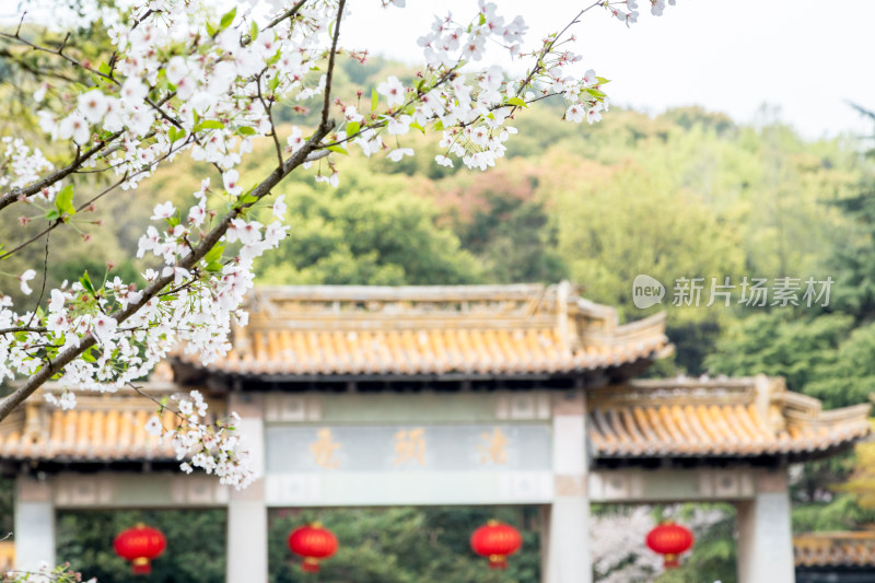 江苏无锡鼋头渚风景区