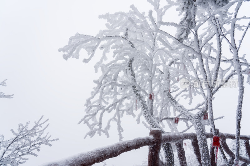 寒冷冬季景区雪后栈道