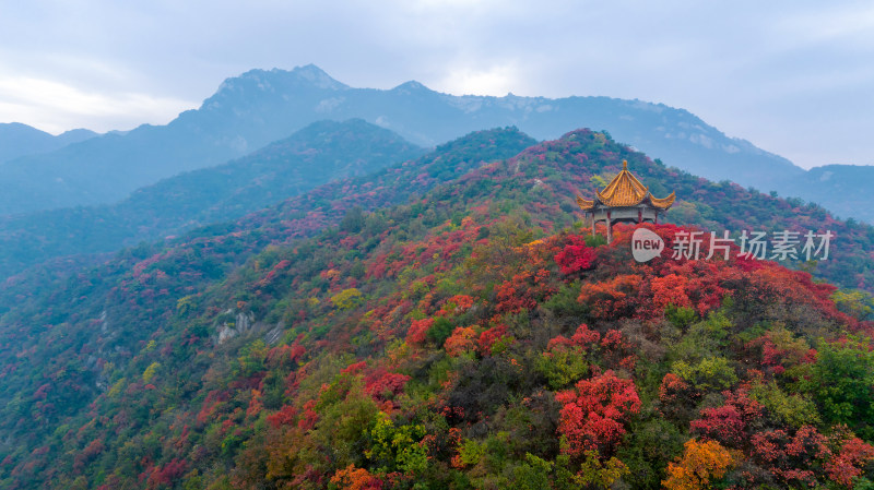 秋天霜降红叶立秋重阳节自然风景山脉森林