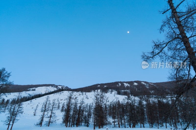 新疆喀纳斯雪景晨雾雪山森林雾凇