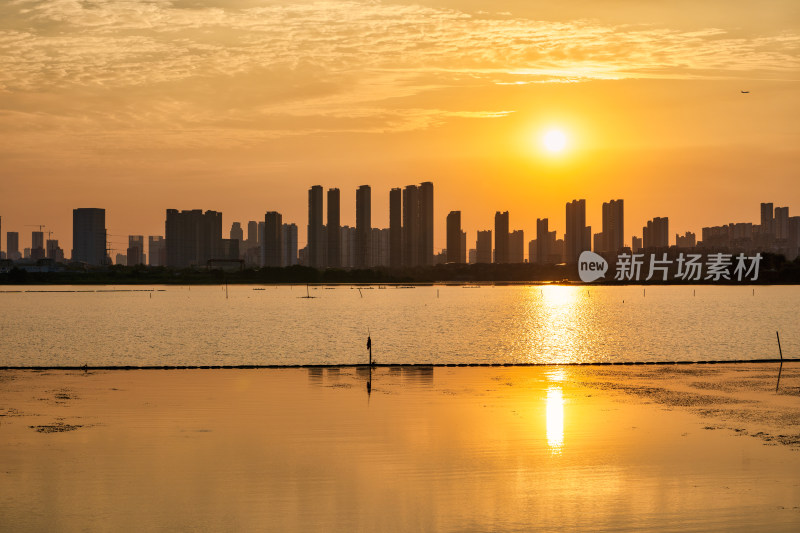 湖北武汉金银湖的落日