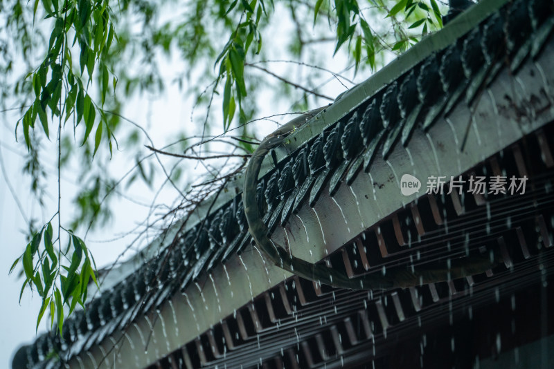 春雨下的古建筑