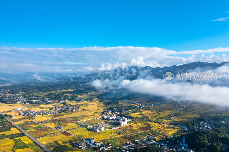 秋天云雾下的乡村大地 金黄稻田