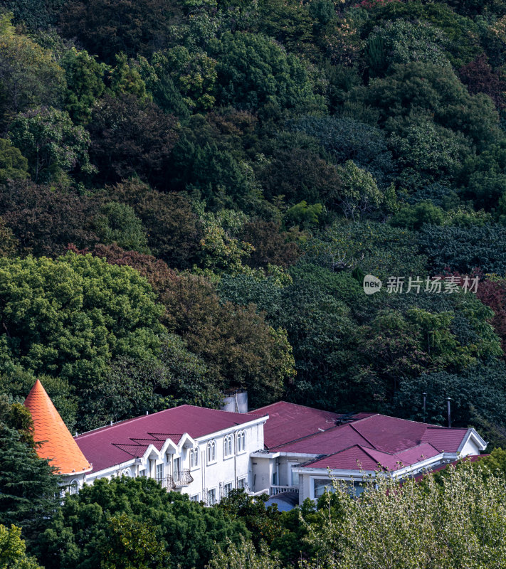 上海松江佘山森林公园自然建筑景观