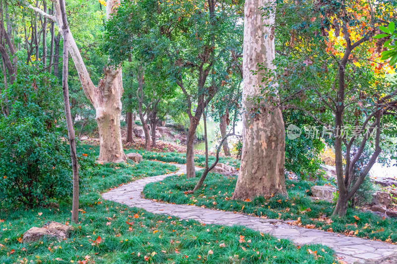 南京钟山风景名胜区明孝陵风景