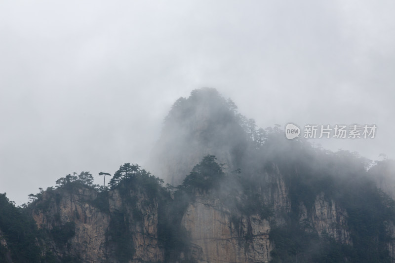 云海中的大明山